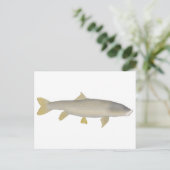 Goldener Mahseer Postkarte (Stehend Vorderseite)