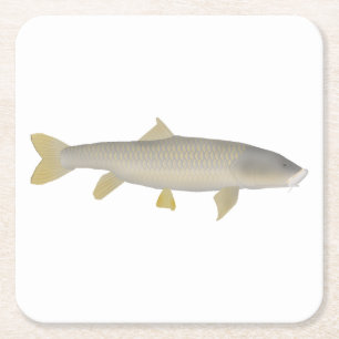 Goldener Mahseer Rechteckiger Pappuntersetzer