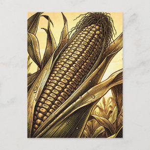 Goldener Maiskolben Ernte Postkarte