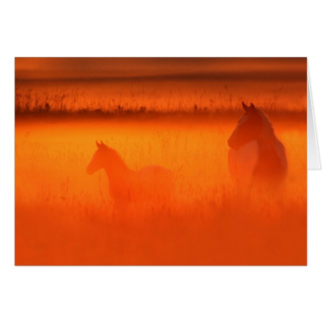 Goldener Moment (Vorderseite (Horizontal))