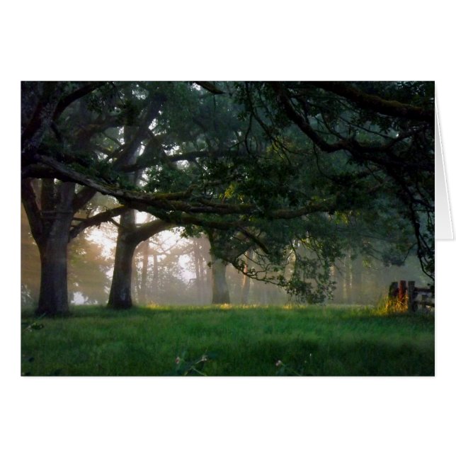 Goldener Moment (Vorderseite (Horizontal))