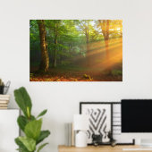 Goldener Moment des Lichts Poster (Heimbüro)