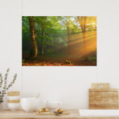Goldener Moment des Lichts Poster (Küche)