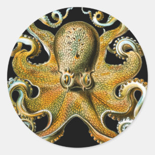 Goldener Oktopus Kunst Runder Aufkleber