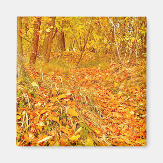 Goldener Pfad Magnet