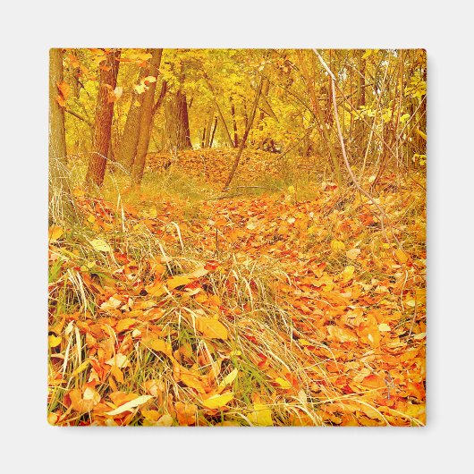 Goldener Pfad Magnet (Vorne)
