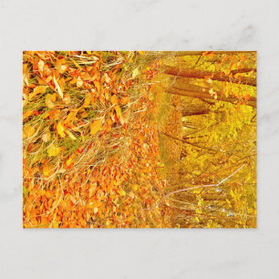 Goldener Pfad Postkarte