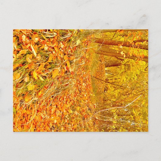 Goldener Pfad Postkarte (Vorderseite)