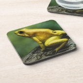 Goldener Pfeil-Frosch Getränkeuntersetzer (Linke Seite)