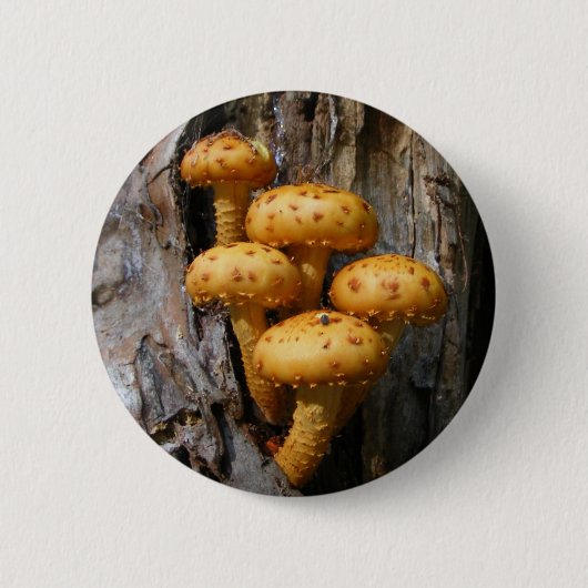Goldener Pilz ~ Knopf Button (Vorderseite)