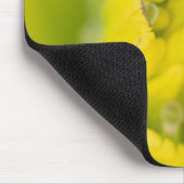 Goldener Pinsel Castilleja 2 Mousepad (Ecke)