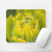 Goldener Pinsel Castilleja 2 Mousepad (Mit Mouse)