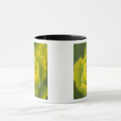 Goldener Pinsel Castilleja 2 Tasse (Zentrum)