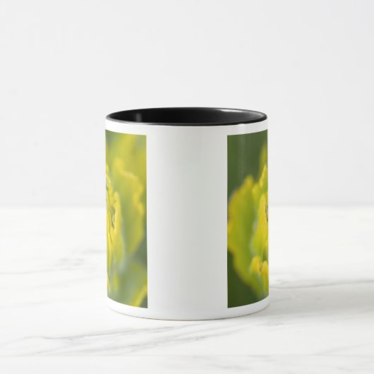 Goldener Pinsel Castilleja 2 Tasse (Zentrum)