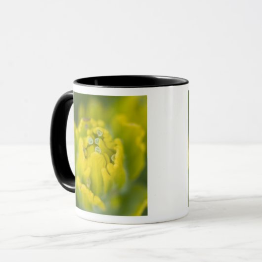 Goldener Pinsel Castilleja 2 Tasse (Vorderseite Links)