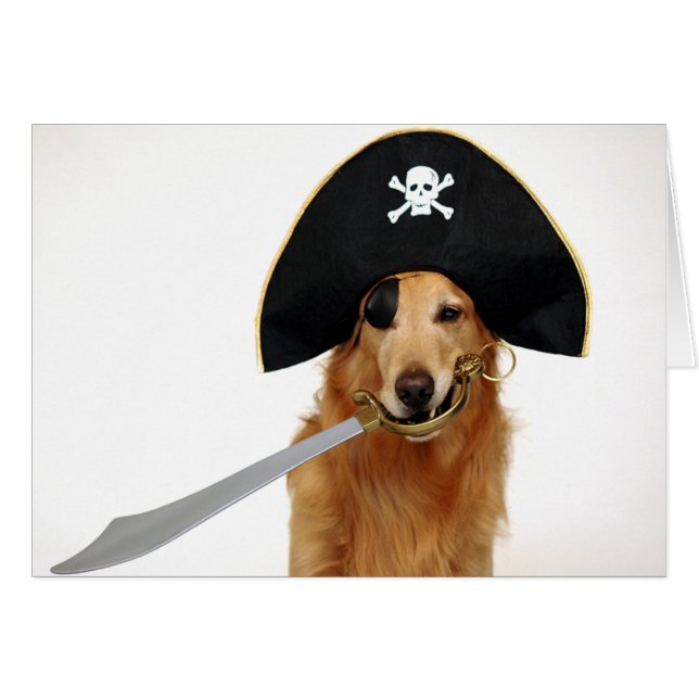 Goldener Pirat (Vorderseite (Horizontal))