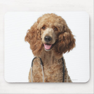 Goldener Pudel-Hund, der ein Stethoskop trägt Mousepad