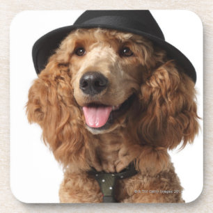 Goldener Pudel-Hundetragender Hut und -Krawatte Untersetzer