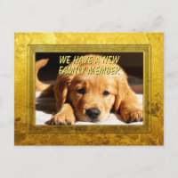 Goldener Rahmen - Rechteckform 8 Golden Retriever