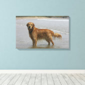 Goldener Retreiver im Meer Leinwanddruck (Insitu (Holzboden))