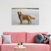 Goldener Retreiver im Meer Leinwanddruck (Insitu (Wohnzimmer))