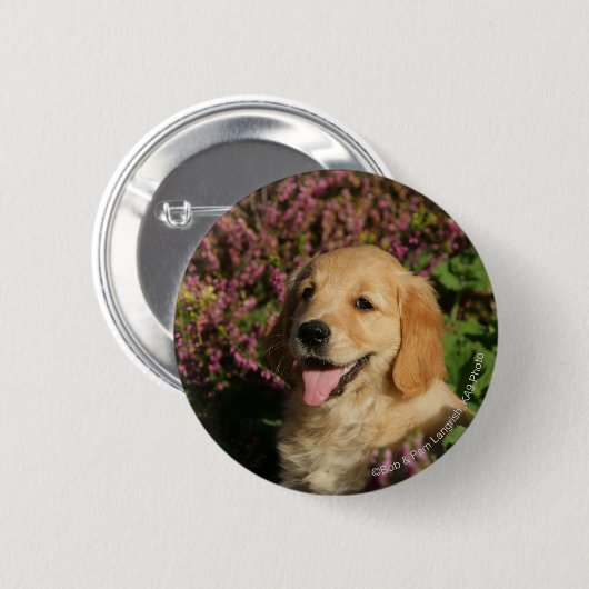 Goldener Retreiver Welpe Button (Vorne & Hinten)