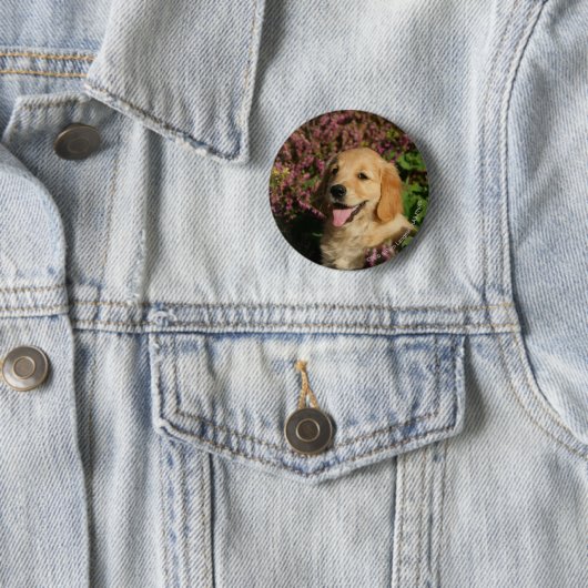 Goldener Retreiver Welpe Button (Beispiel)