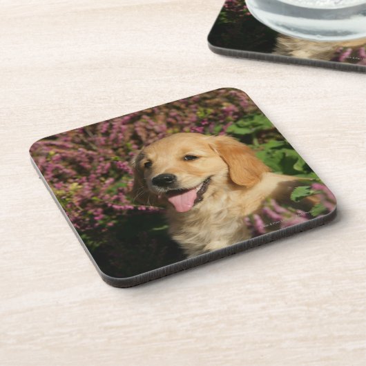 Goldener Retreiver Welpe Getränkeuntersetzer (Linke Seite)