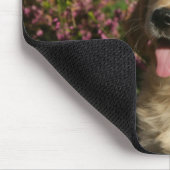 Goldener Retreiver Welpe Mousepad (Ecke)