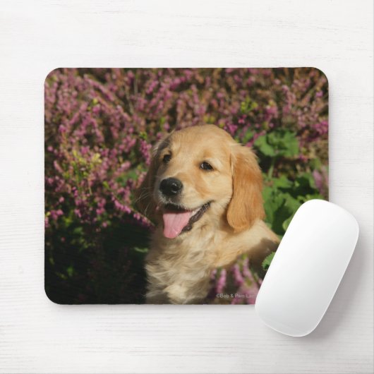 Goldener Retreiver Welpe Mousepad (Mit Mouse)