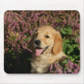Goldener Retreiver Welpe Mousepad (Vorne)