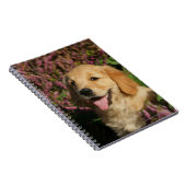 Goldener Retreiver Welpe Notizblock (Rechte Seite)