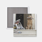 Goldener Retriethund sitzend vor der Tür Magnet (Vorderseite/Rückseite)