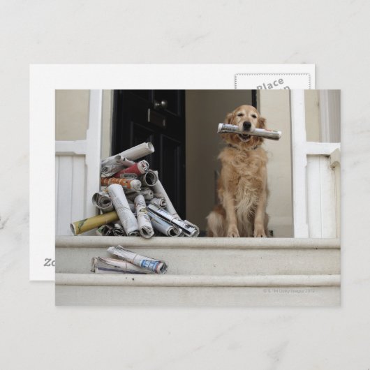 Goldener Retriethund sitzend vor der Tür Postkarte (Vorne/Hinten)