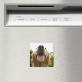 Goldener Retriever 5 Magnet (In Situ (Geschirrspüler))