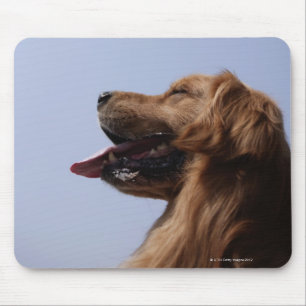 Goldener Retriever 6 Mousepad