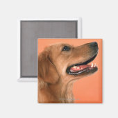 Goldener Retriever 7 Magnet (Vorderseite/Rückseite)