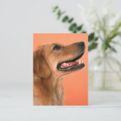 Goldener Retriever 7 Postkarte (Stehend Vorderseite)