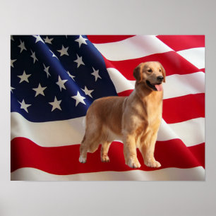Goldener Retriever Alle amerikanischen Printmedien Poster
