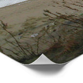 Goldener Retriever am Strand Print Poster (Ecke)