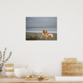 Goldener Retriever am Strand Print Poster (Küche)