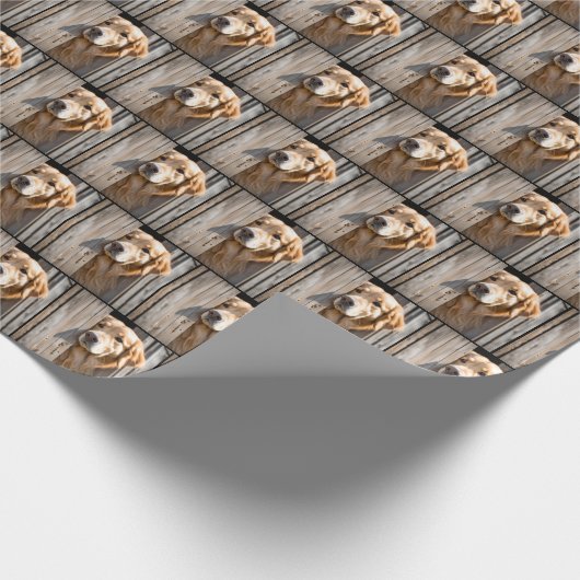 Goldener Retriever an der Barenttür Geschenkpapier (Ecke)