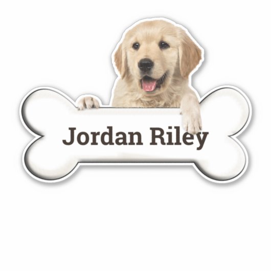 Goldener Retriever auf Hundeböcke Aufkleber (Vorderseite)