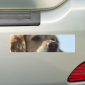 Goldener Retriever-Autoaufkleber Autoaufkleber (Auf Auto)