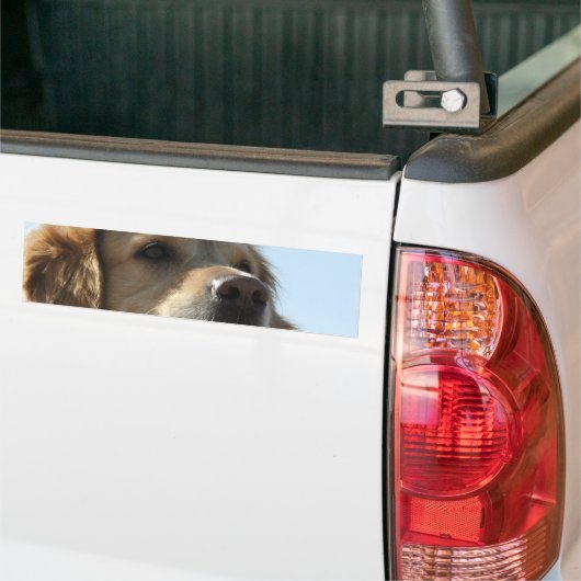 Goldener Retriever-Autoaufkleber Autoaufkleber (Auf Lkw)