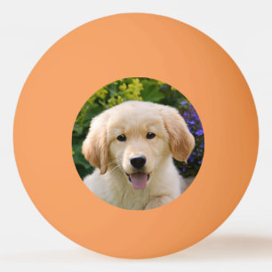 Goldener Retriever-Baby-Hundewelpen-lustiges Tischtennisball