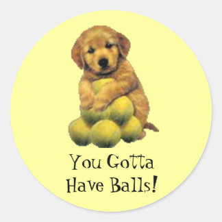 Goldener Retriever, den Sie got, um Ball-Aufkleber Runder Aufkleber
