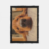 Goldener Retriever-Fleece-Decke Fleecedecke (Vorderseite)