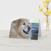 Goldener Retriever-Foto Karte (Gelbe Blume)