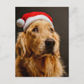 Goldener Retriever für seine Weihnachten (Vorderseite)